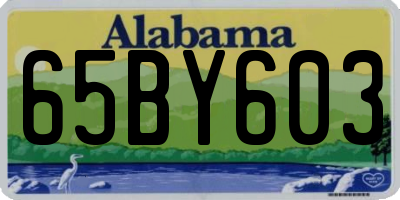 AL license plate 65BY603