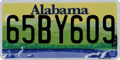 AL license plate 65BY609