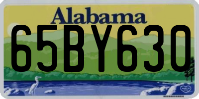 AL license plate 65BY630
