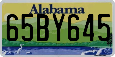 AL license plate 65BY645