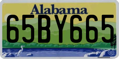 AL license plate 65BY665