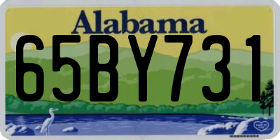 AL license plate 65BY731