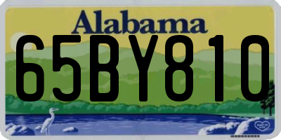AL license plate 65BY810