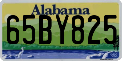 AL license plate 65BY825
