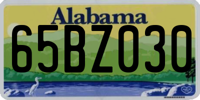 AL license plate 65BZ030