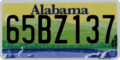 AL license plate 65BZ137