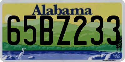 AL license plate 65BZ233