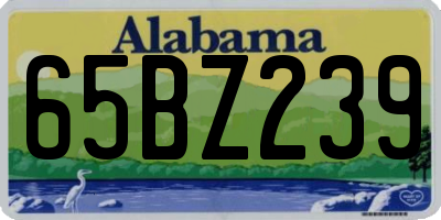 AL license plate 65BZ239