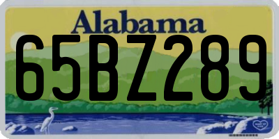 AL license plate 65BZ289