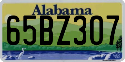 AL license plate 65BZ307