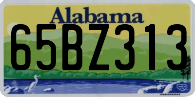 AL license plate 65BZ313