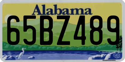 AL license plate 65BZ489