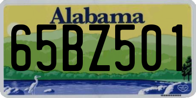 AL license plate 65BZ501