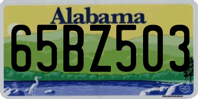 AL license plate 65BZ503