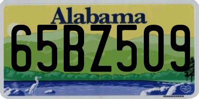AL license plate 65BZ509