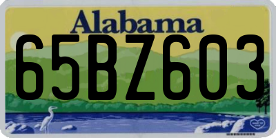 AL license plate 65BZ603