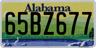 AL license plate 65BZ677