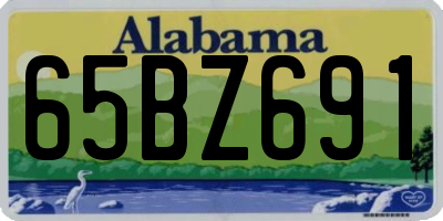 AL license plate 65BZ691