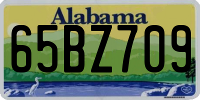 AL license plate 65BZ709