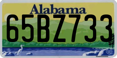 AL license plate 65BZ733