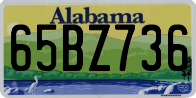 AL license plate 65BZ736