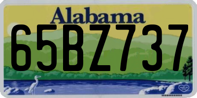 AL license plate 65BZ737