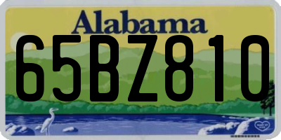 AL license plate 65BZ810