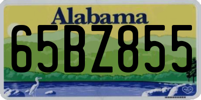AL license plate 65BZ855