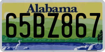 AL license plate 65BZ867