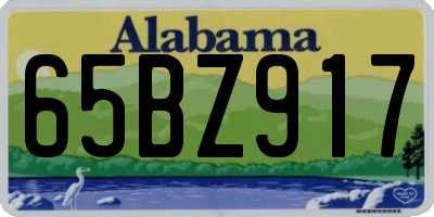 AL license plate 65BZ917