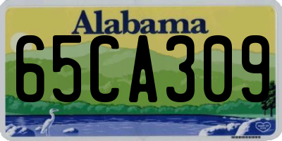 AL license plate 65CA309