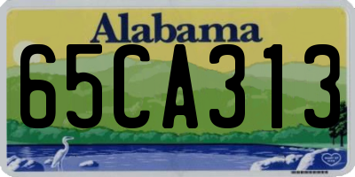 AL license plate 65CA313