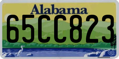AL license plate 65CC823