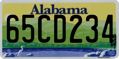 AL license plate 65CD234