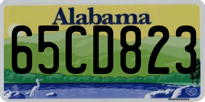 AL license plate 65CD823