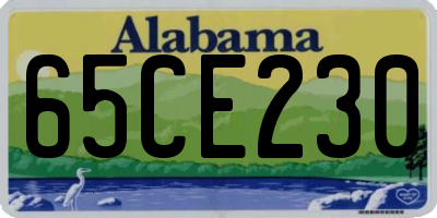 AL license plate 65CE230