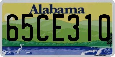 AL license plate 65CE310