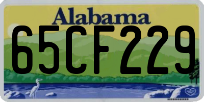 AL license plate 65CF229