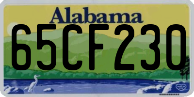 AL license plate 65CF230