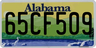 AL license plate 65CF509