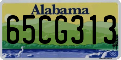 AL license plate 65CG313