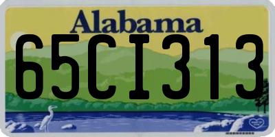 AL license plate 65CI313