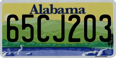 AL license plate 65CJ203