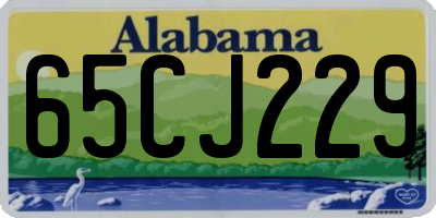 AL license plate 65CJ229
