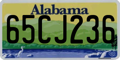 AL license plate 65CJ236