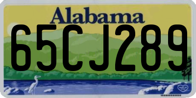 AL license plate 65CJ289