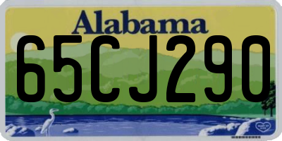 AL license plate 65CJ290
