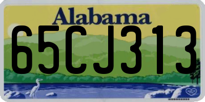 AL license plate 65CJ313