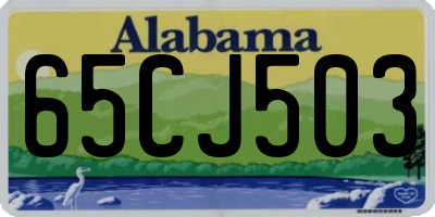 AL license plate 65CJ503