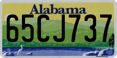 AL license plate 65CJ737